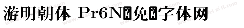 游明朝体 Pr6N字体转换